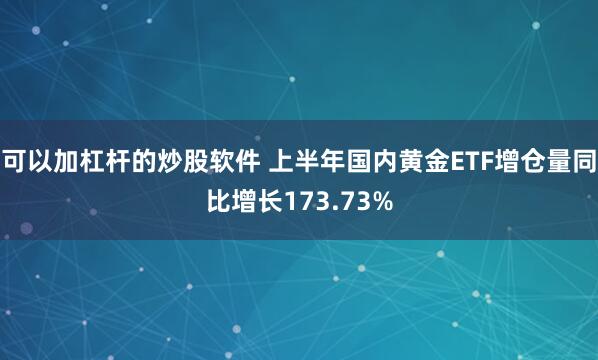 可以加杠杆的炒股软件 上半年国内黄金ETF增仓量同比增长173.73%